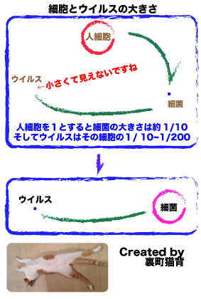 細菌とウイルスの違い