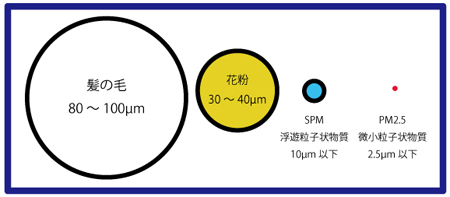 PM2.5の大きさ