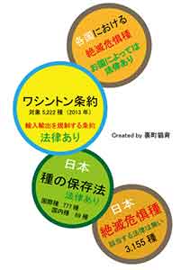 絶滅危惧種　ワシントン条約　種の保存法